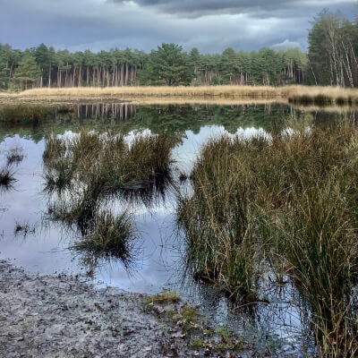 WORKSHOP - Verborgen veerkrachtpad Gerhagen WORKSHOP - Verborgen veerkrachtpad Gerhagen